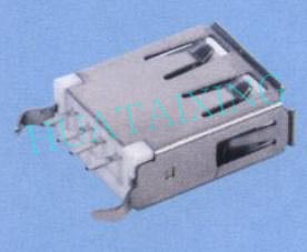 USB AF 180°直插（長體15.00）